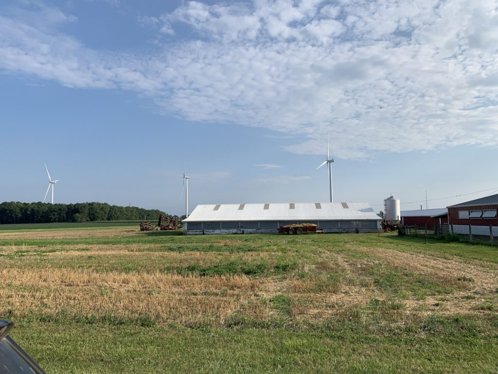 Wind turbines stretch toward Dola